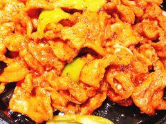 -正阳春烤鸭(华捷道店)