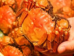 -成隆行·蟹王府(九江路店)