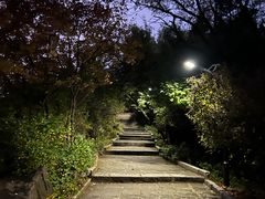 -高尔山公园