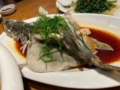 清蒸桂鱼-周锦记广式餐厅