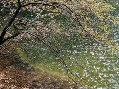 -缙云山景区