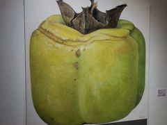 -辰熙ACX星海艺术中心