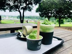 -雪绿茶博物馆
