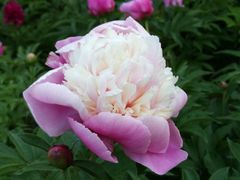 -长春公园(普阳街道)