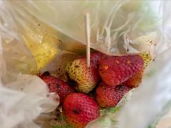 -雪儿钱局泡菜