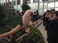 iphone_upload_pic-世界地热博览园