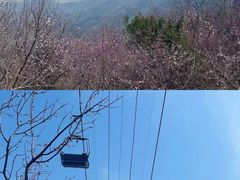 -香山公园
