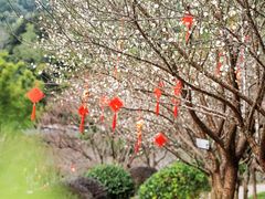 -广州市白云山风景名胜区