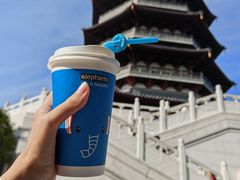 -西湖外事游船(花港观鱼码头)