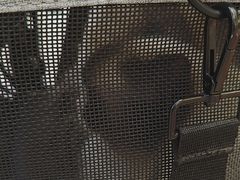 -美联众合动物医院·24h转诊中心
