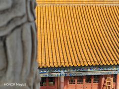 -西安大兴善寺