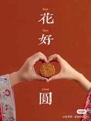 点击看大图 -青禾蒙娜丽莎婚纱摄影(武汉总店)