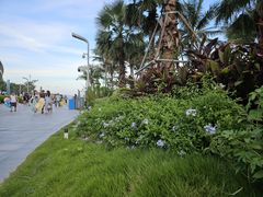 -大梅沙海滨公园