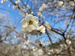 -广州市流溪河国家森林公园