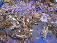 -澜悦港海鲜体验主题餐厅