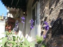 IMG_2437-成桂西餐厅·42年的味道(五大道疙瘩楼店)