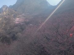 -鸡鸣山旅游景区