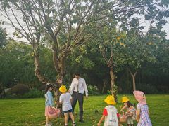 -天悦阁海景酒廊