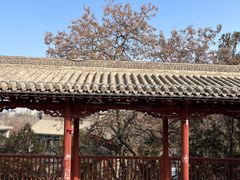 -白塔山公园