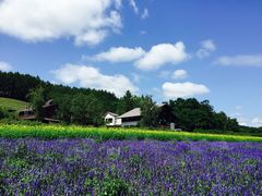 -富田农场