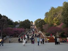 -庐山风景名胜区-东林大佛