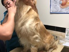 -安安宠医·安宠宠物医院