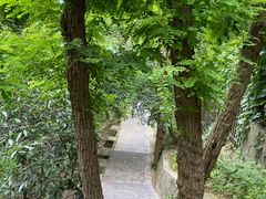 -紫金山山顶公园