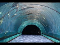 -海合安青岛极地海洋公园