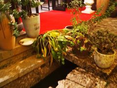 -云上珍野生菌(兴仁店)