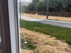 -苏州观园琉苏酒店-168西餐厅