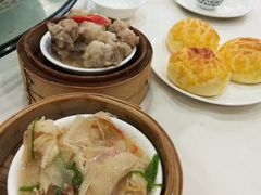 -黄埔华苑酒家(黄埔店)