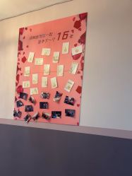 -Bollins波林丝•专研护发中心