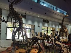 -自贡恐龙博物馆