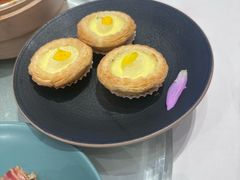 -千灯盛汇·头牌粤菜(致越优城店)