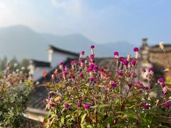 -篁岭景区