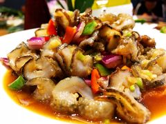 活海参-新海渔港·胶东海鲜家常菜·家宴(奥体中心店)