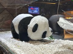 -红辣椒·川菜·火锅(大洋中心店)