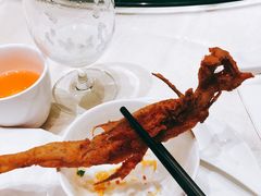九肚鱼-马旺子酒楼