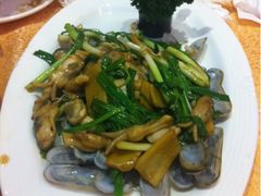 姜葱炒圣子-明香海鲜酒家(华强北店)