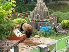 -大连森林动物园