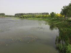 -东郊湿地公园
