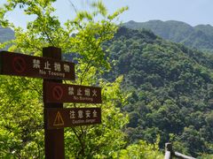 -雁荡山三折瀑景区