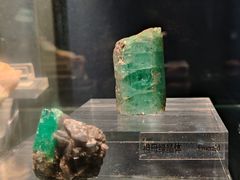 -中国地质博物馆