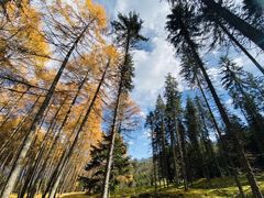 -硗碛藏寨·神木垒景区