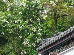 -深圳国际园林花卉博览园