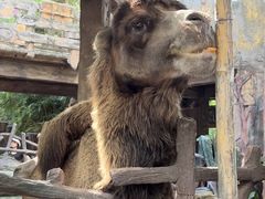 -长鹿旅游休博园