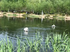 -吉林大学(前卫南区)