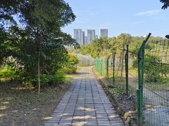 -南沙蒲洲花园