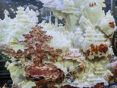 -海底捞火锅(杭州庆春路夜宵主题店)