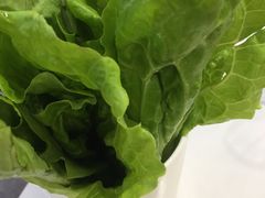 -重庆鸡公煲(学衡路店)